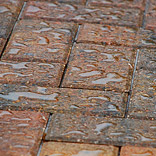 Pavers Cleaning & Sealing